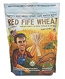 Red Fife Hard Red Winter Wheat Hard Red Wheat