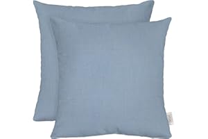 RSH DECOR: Sunbrella Square Throw Pillows Set of 2 | 20" x 20" | Water and Fade-Resistant Performance Fabric | Outdoor Pillow Covers with Down-Alternative Inserts | Canvas Air Blue