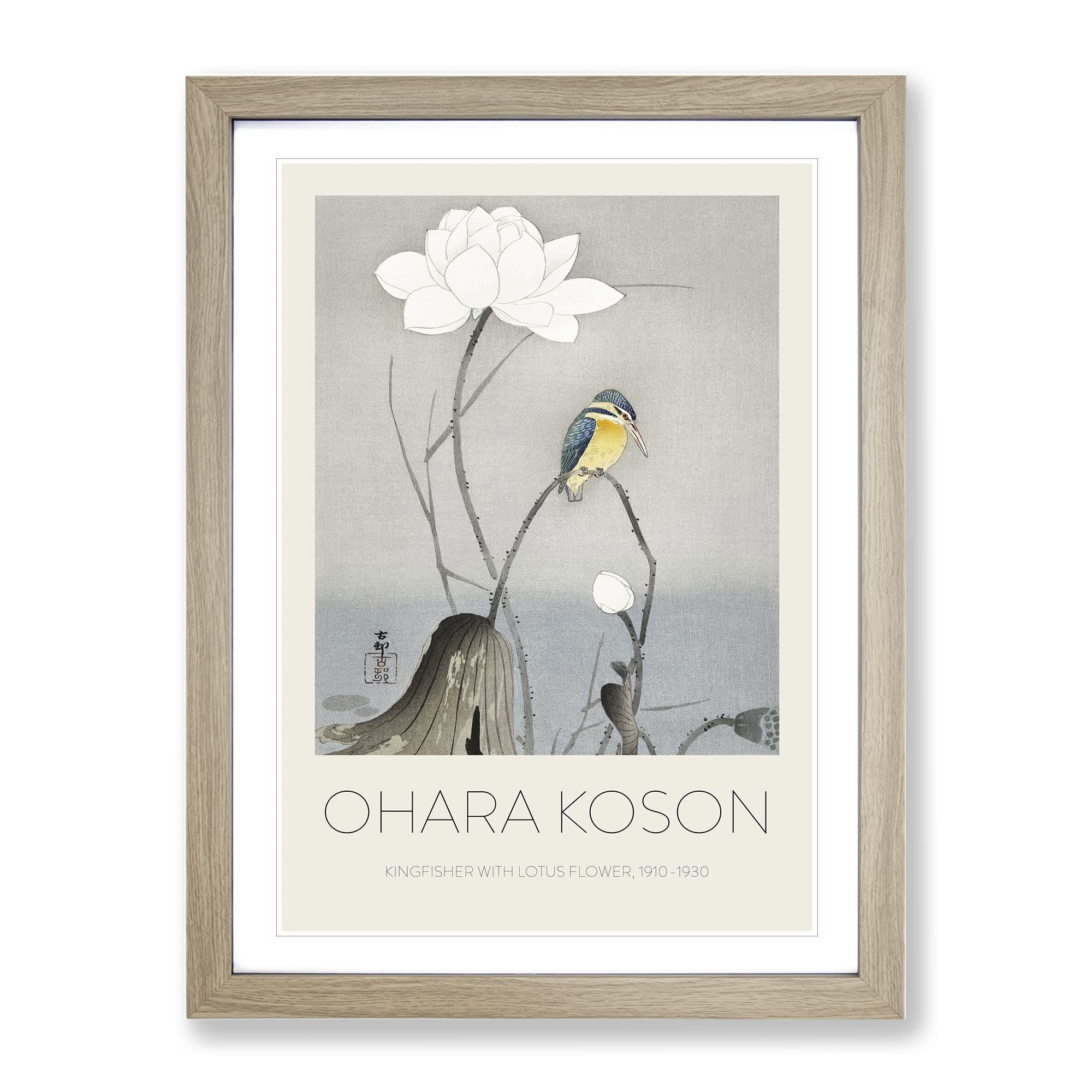 Kingfisher With Lotus Flower By Ohara Koson Exhibition Museum Asian Japanese Framed Wall Art Print, Ready to Hang Picture for Living Room Bedroom Home Office Décor, Oak A4 (34 x 25 cm)