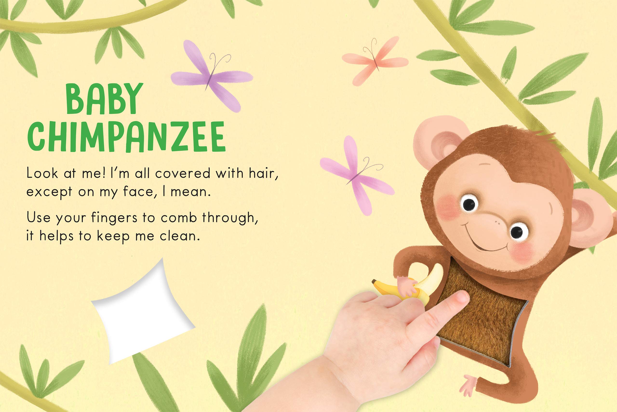 Baby Animals: A Touch and Feel Book - Children's Board Book - Educational