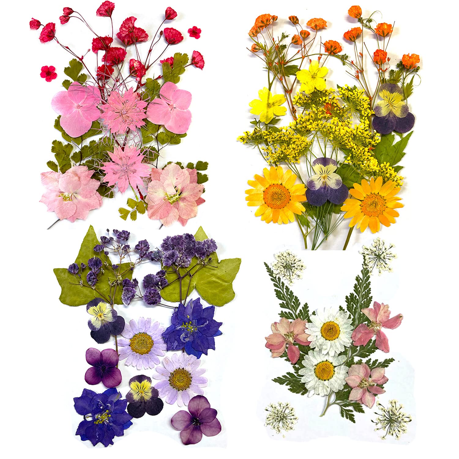 DFsucces 4 Packs About 60 Pcs,Pressed Dried Flowers,Real Dried Pressed Flowers,Pressed Flowers for Resin,Mixed Multiple Natural Flowers Leaves,for Crafts Making Floral Decors Scrapbooking DIY