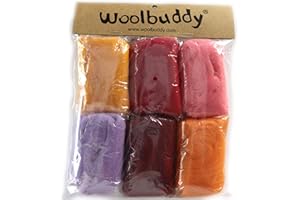 Woolbuddy Needle Felting Wool, Natural Handmade Wool Roving, 6 Vibrant Colors with Instructions (Wool Bag Summer)
