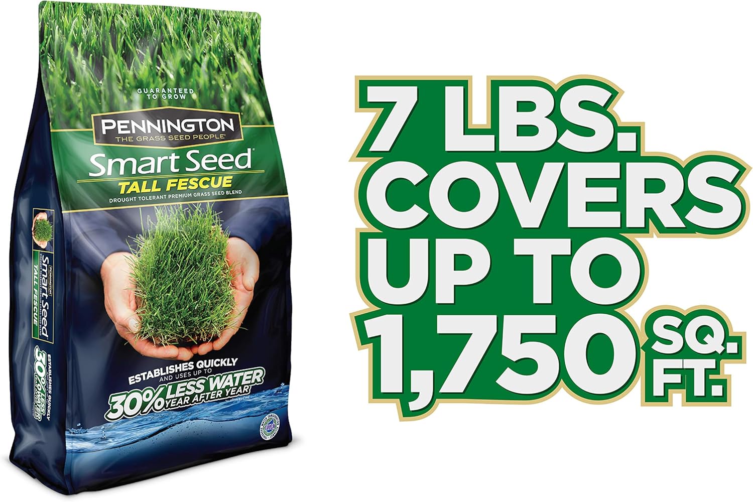 Pennington 100526677 Smart Tall Fescue Grass Seed, 7 lb : Garden & Outdoor
