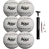 Biggz (6 Pack) Volleyballs - Soft Touch Leather - Indoor/Outdoor