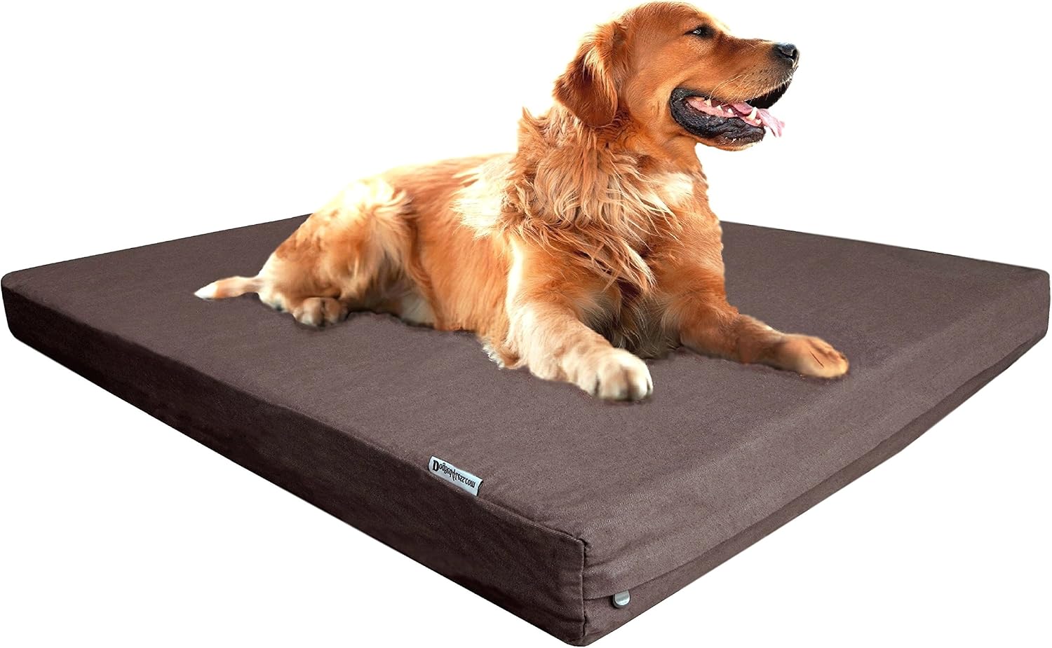 xl dog mattress