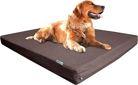 amazon dog beds for less