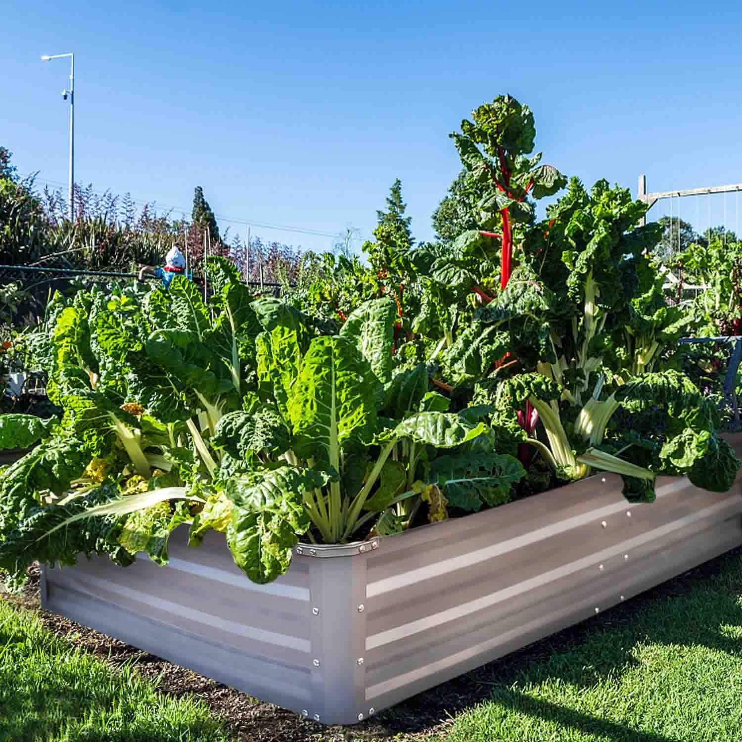 FOYUEE - Cajas elevadas de jardín, para Plantar Camas de jardín ...