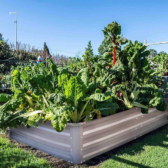 FOYUEE - Cajas elevadas de jardín, para plantar camas de jardín ...