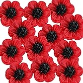 WILLBOND Artificial Red Poppy Flowers Memorial Day Large Poppies Fake Flowers for Halloween Birthday Carnival Back to School Party Backdrop(20 Inches,6 Pcs)
