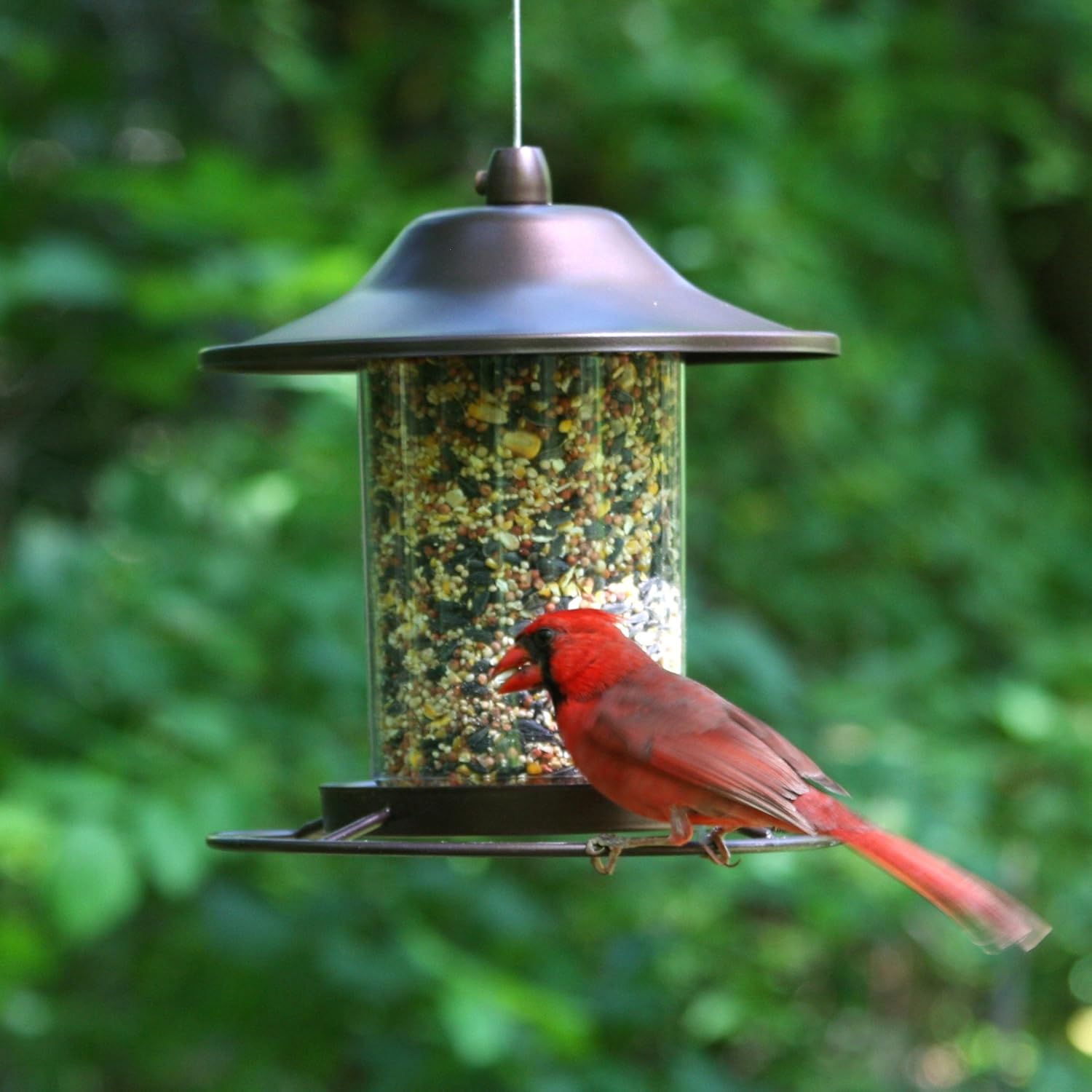 Perky-Pet 312 Panorama Bird Feeder, 2 lbs, Brown : Wild Bird Feeders : Garden & Outdoor