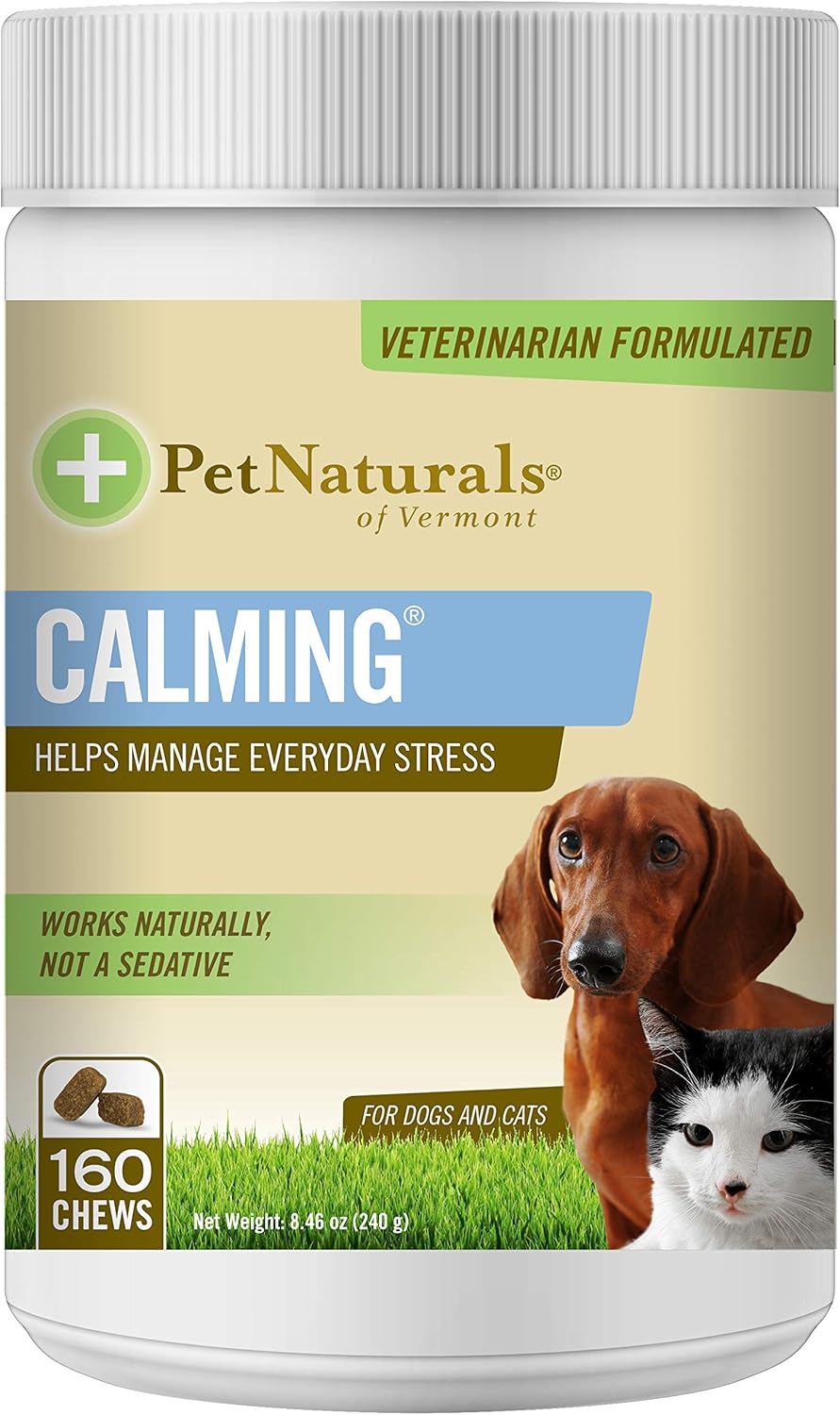 Medication To Calm Dogs
