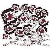 Desert Cactus University of South Carolina Sticker Gamecocks USC Cocky Vinyl Decals Laptop Water Bottle Car Scrapbook Sheet T1 (Type 1-1)