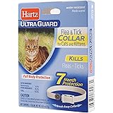 cat flea collar dollar general