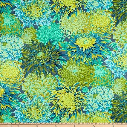 Amazon Com Freespirit Fabrics Kaffe Fassett Collective For