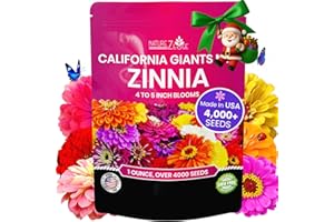 NatureZ Edge Zinnia Seeds for 2025 Planting Outdoors, Over 4000 Flower Seeds, 1 Oz, Non GMO Made in USA, Bulk Semillas De Flores para Sembrar, California Giants, Easy to Grow Zinnia Seed Mix