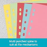 Elba A4 Pink 5 Pack 10-Part File Dividers Multi-Coloured Recycled Card view 3