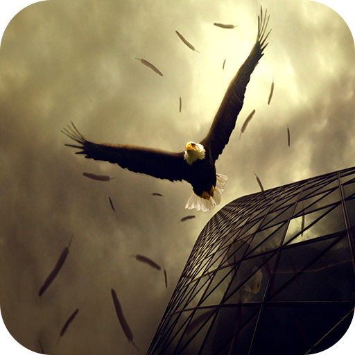 Amazon Com Eagle 4k Wallpaper Appstore For Android