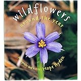 Wildflowers Around the Year