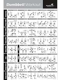 NewMe Fitness Dumbbell Workout Exercise Poster - NOW LAMINATED - Strength Training Chart - Build Muscle, Tone & Tighten - Home Gym Weight Lifting Routine - Body Building Guide w/Free Weights