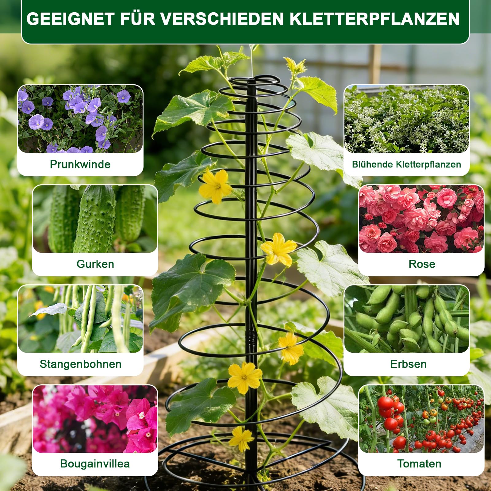 Rankhilfer Metall Rankhilfe Garten für Kletterpflanzen, 40-180cm Verstellbarer Höhe Pflanzen Rankhilfe für Gemüse Blumen Rebe Unterstützung, Boden mit Befestigung