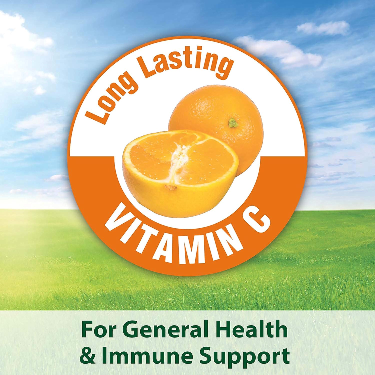 Kaytee Fiesta Guinea Pig Food, 4.5 lb : Pet Food : Pet Supplies