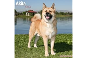 Akita Calendar - Dog Breed Calendars - 2023 - 2024 wall calendars - 16 Month by Avonside