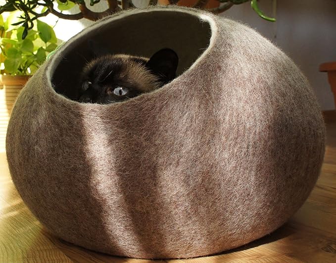 kivikis cat cave