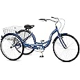 Schwinn Meridian