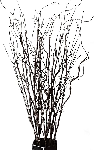 FeiLix Künstliche Zweige, dekorative trockene Zweige, 76 cm, künstliche Grünpflanzen, für drinnen und draußen, Vintage-Ranken, für Zuhause, Garten, Hotel, Büro, Party, Küche, Dekorationen, 10 Stück