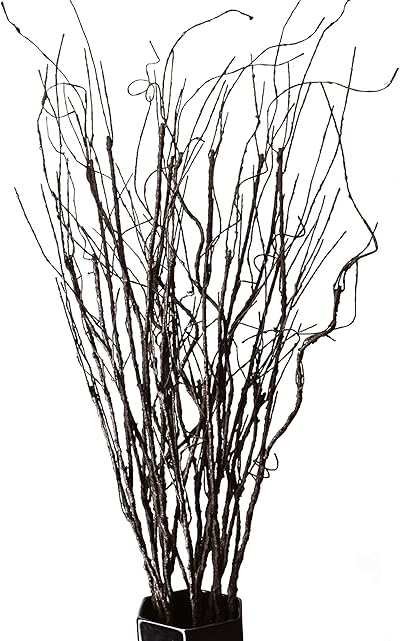 FeiLix Künstliche Zweige, dekorative trockene Zweige, 76 cm, künstliche Grünpflanzen, für drinnen und draußen, Vintage-Ranken, für Zuhause, Garten, Hotel, Büro, Party, Küche, Dekorationen, 10 Stück