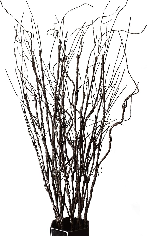 FeiLix Künstliche Zweige, dekorative trockene Zweige, 76 cm, künstliche Grünpflanzen, für drinnen und draußen, Vintage-Ranken, für Zuhause, Garten, Hotel, Büro, Party, Küche, Dekorationen, 10 Stück