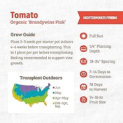 Back to the Roots 100% Organic Seed Packet - Tomato