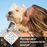 Cerolopy Pet Memorial Keychain Angel with Paws Stainless Steel view 4