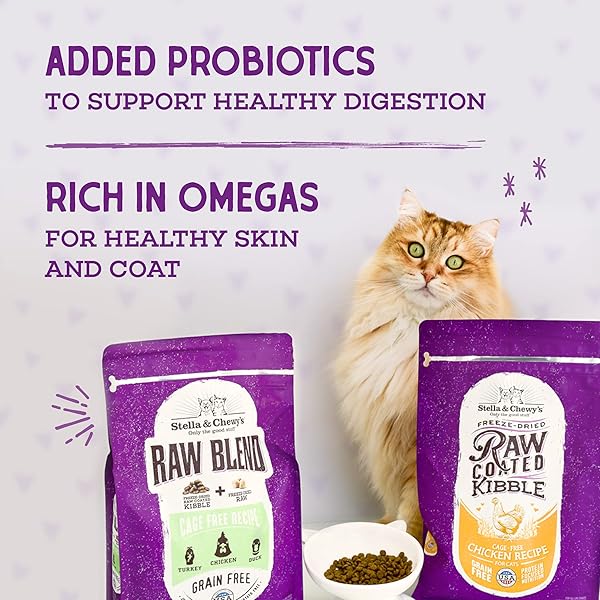 STELLA & CHEWY’S RAW COATED CAT FOOD – HIGH PROTEIN, GRAIN-FREE KIBBLE WITH WILD-CAUGHT SALMON – PREMIUM DIGESTIVE SUPPORT WITH PROBIOTICS – NATURAL SMALL KIBBLE – PERFECT FOR PICKY EATER – 2.5LB BAG