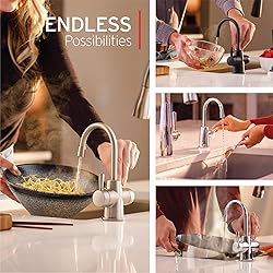 InSinkErator HOT250 Instant Hot and Cold Water