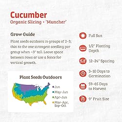Back to the Roots 100% Organic Seed Packet