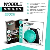 RFAQK Inflated Air Stability Wobble Cushion Balance Disc 13.2in with Pump view 5