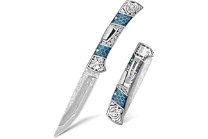 NedFoss SMILODON Damascus Pocket Knife for Men, 4" Back Lock Folding Knife, Luminous Resin and Engraved 3D Tiger Relief Handle, Pocket Clip, Cool Knives Personalized Gift for Collection