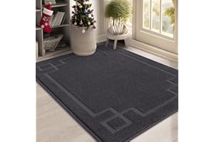 BEQHAUSE Door Mat 32" x 48", Non-Slip Door Mats Indoor Entryway Rugs Washable Low-Profile Absorbent and Stain Resist Floor Mats, Dog Door Mat for Front Back Door, Muddy Wet Shoes & Paws, Dark Grey