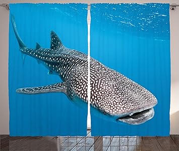Amazon Com Ambesonne Sea Animals Decor Curtains Whale