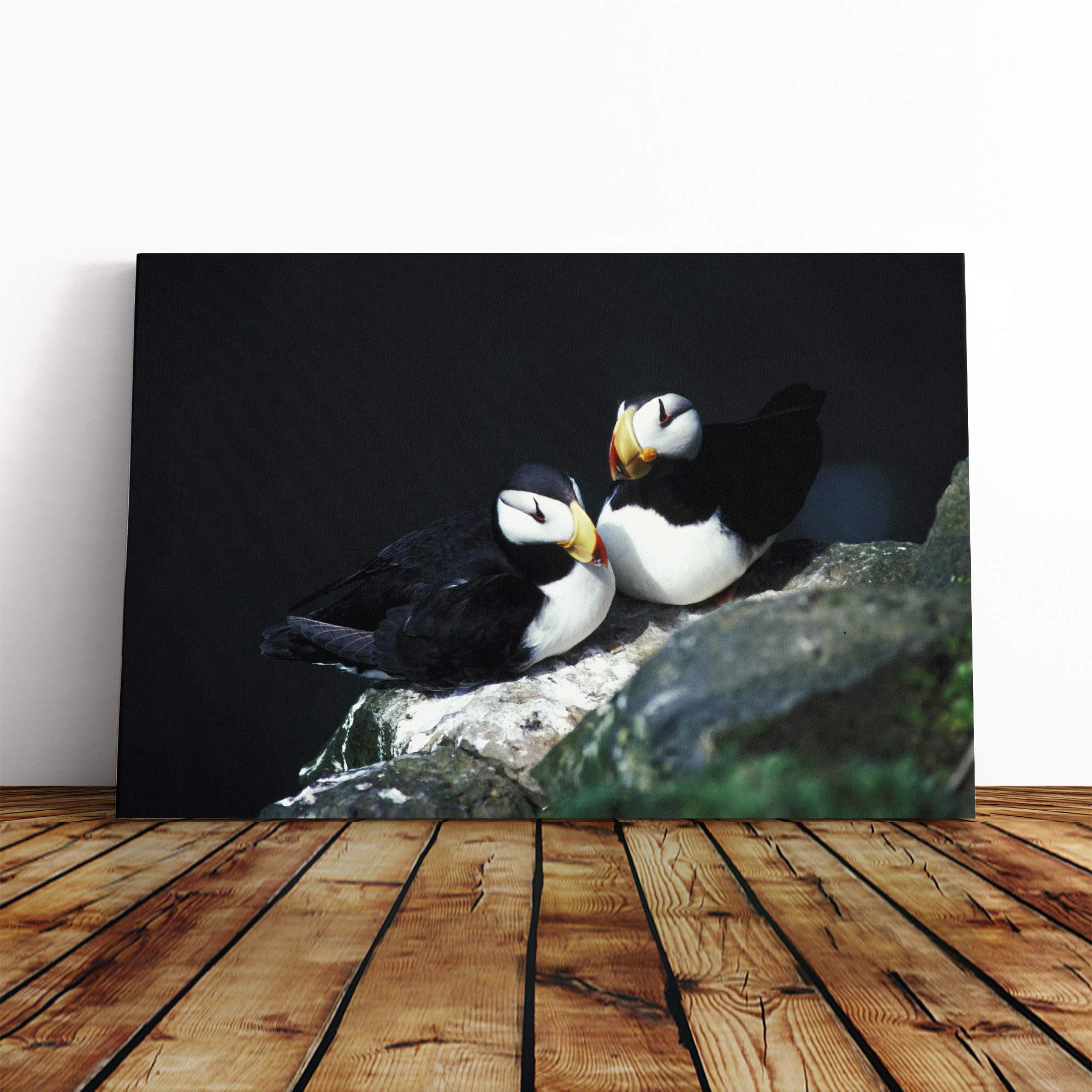Atlantic Puffins Canvas Print | Gallery Wrapped 30mm Frame Wall Art | 20x14 inches | Ready to Hang | Modern Picture | Living Room Bedroom Lounge Office