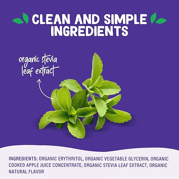 PYURE ORGANIC BROWN SWEETENER | BROWN SUGAR SUBSTITUTE FOR BAKING AND COOKING | ZERO CARB, ZERO SUGAR, ZERO CALORIE, KETO, DIABETIC FRIENDLY, PLANT-BASED, USDA ORGANIC, NON-GMO, 12 OZ