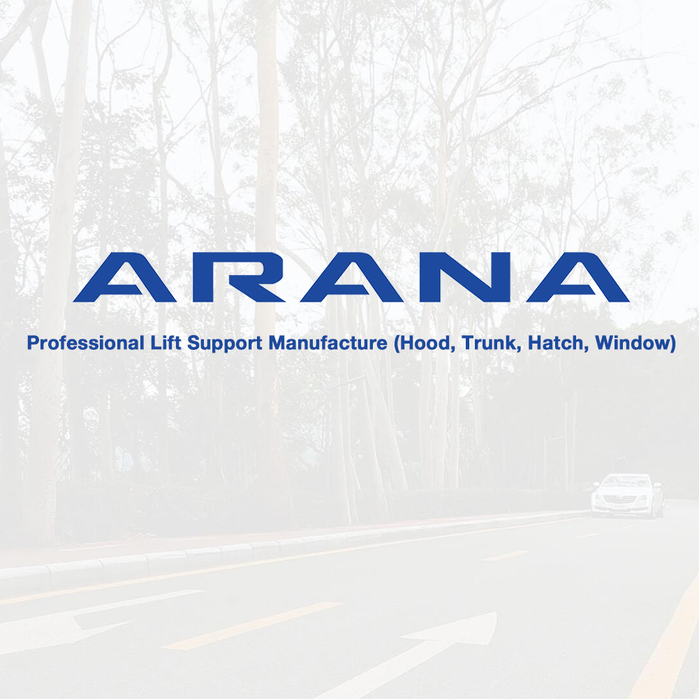 6 2006+2008+Supports+Shocks+Struts+Springs