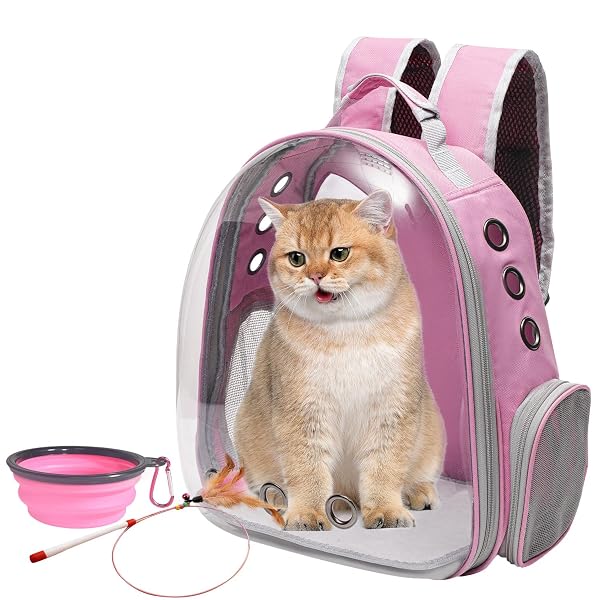 VIVICREATE LARGE CAT BACKPACK CARRIER WITH FOLDING BOWL...