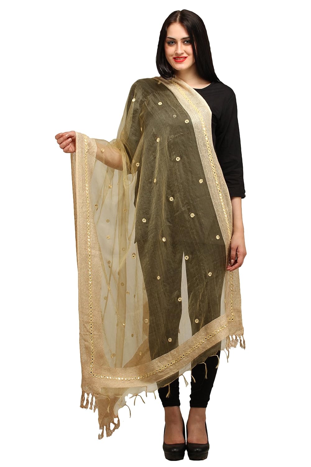 aksara beige organza dupatta