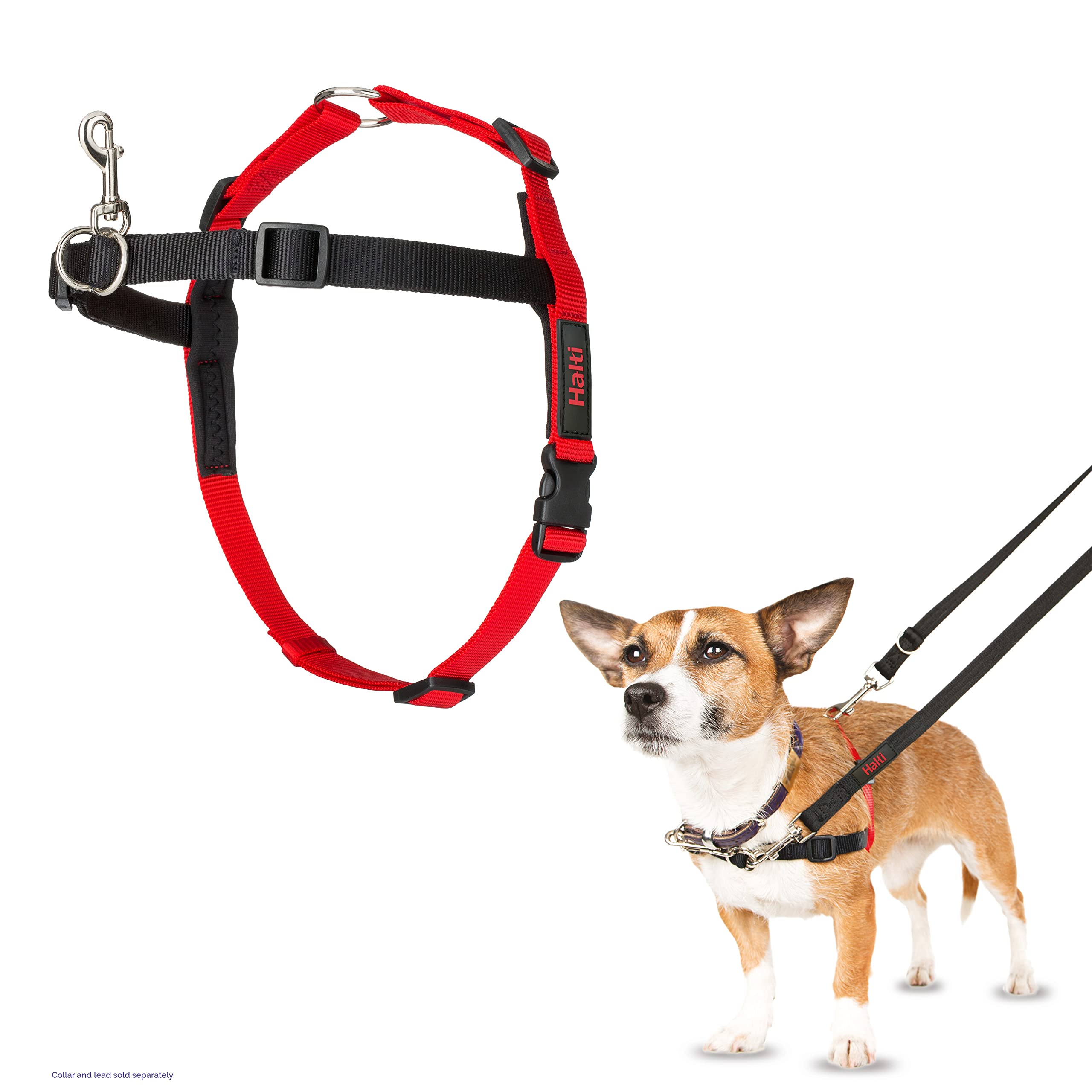Halti Front Control Harness, Size Small, Bestselling Professional Dog Harness to Stop Pulling on the Lead, Easy to Use, Anti-Pull Training Aid, Front Leading No Pull Harness for Small Dogs
