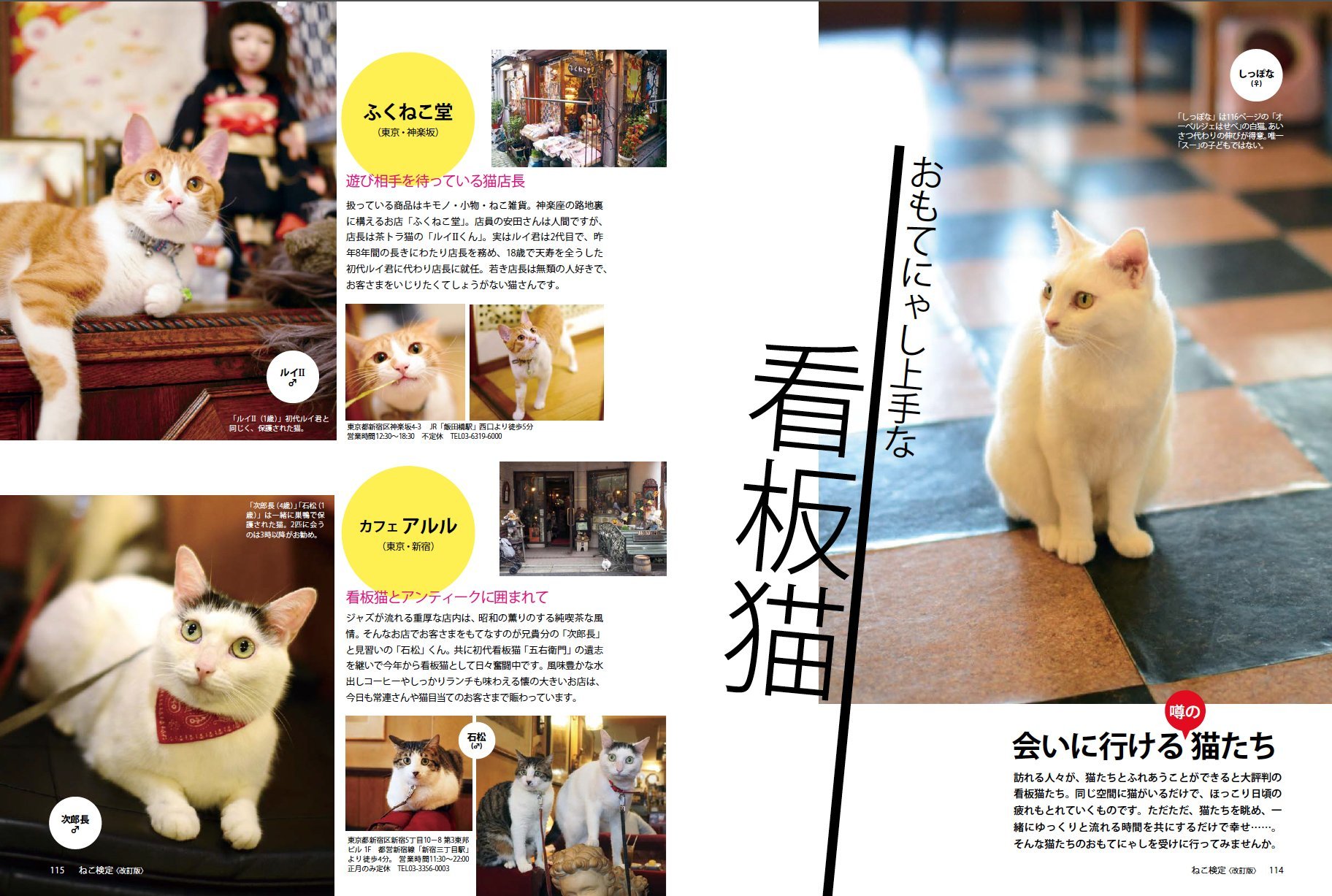 Cat Test Official Guide Book Rev 廣済堂 Besutomukku 370 Amazon Com Books