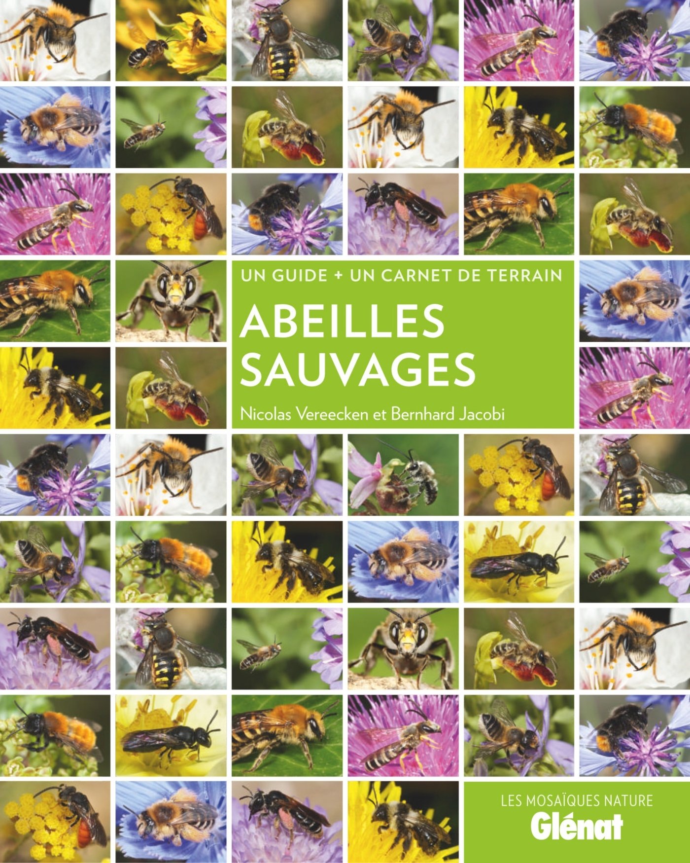 Abeilles Sauvages Amazoncouk Nicolas Vereecken Bernhard - 