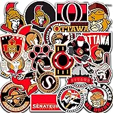DETACLAD 23 PCS Ottawa American Hockey Senators Stickers for Water Bottle, Laptop, Bicycle, Computer, Motorcycle, Travel Case, Car Decal Decoration Sticker