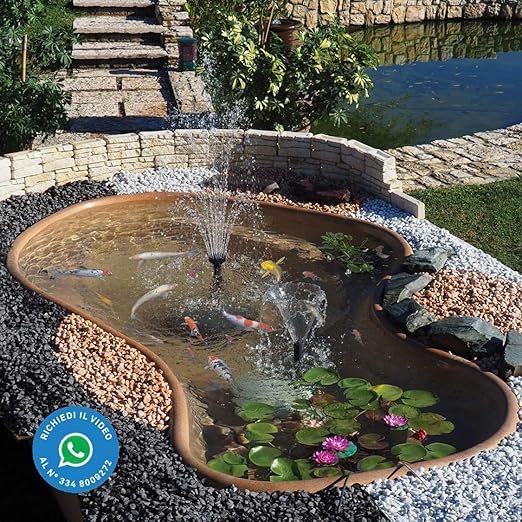 estanque koi laguna para carpe peces